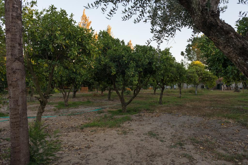 Fajarda 昆塔达米莫萨旅馆酒店 外观 照片